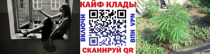 Где купить наркотики Полевской Псилоцибиновые грибы A PVP Кокаин Меф МАРИХУАНА ГАШИШ