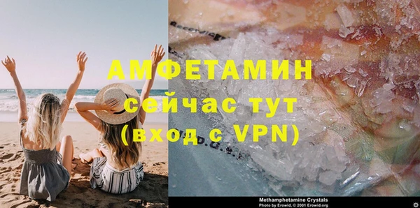 сатива Армянск