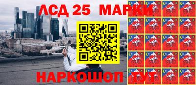 гидропоника Пенза