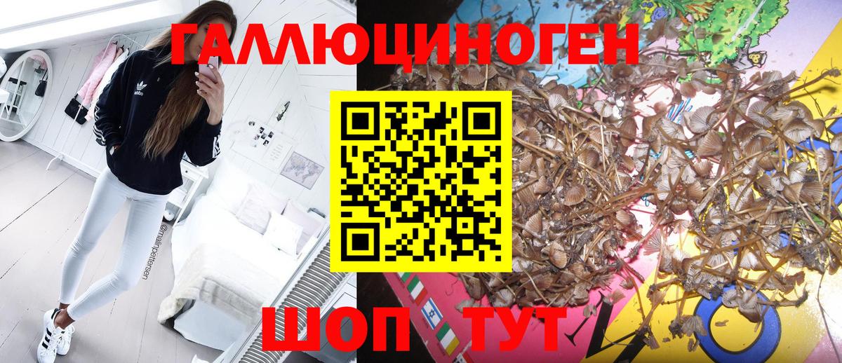 Галлюциногенные грибы прущие грибы  Вход с VPN  Полевской 